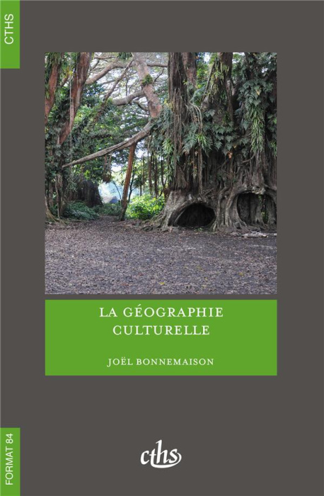 Emprunter La géographie culturelle livre
