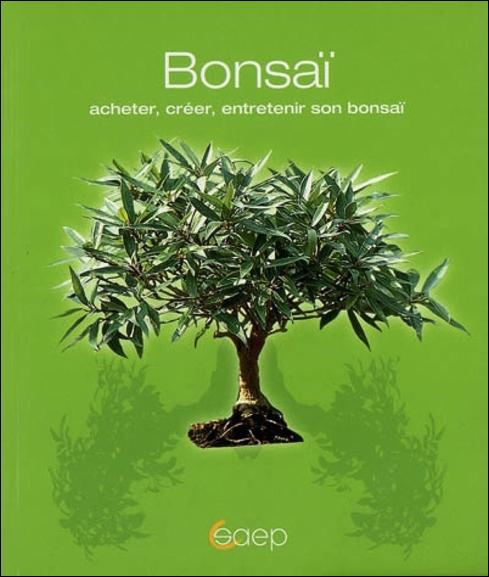 Emprunter BONSAI - ACHETER, CREER, ENTRETENIR SON BONSAI livre