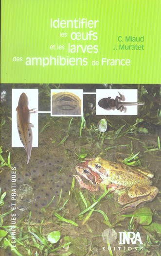 Emprunter IDENTIFIER LES OEUFS ET LES LARVES DES AMPHIBIENS DE FRANCE livre