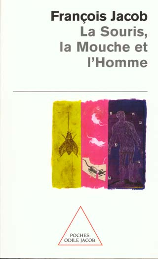 Emprunter La souris, la mouche et l'homme livre
