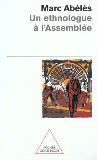 Emprunter Un ethnologue à l'Assemblée livre