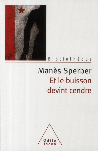 Emprunter ET LE BUISSON DEVINT CENDRE livre