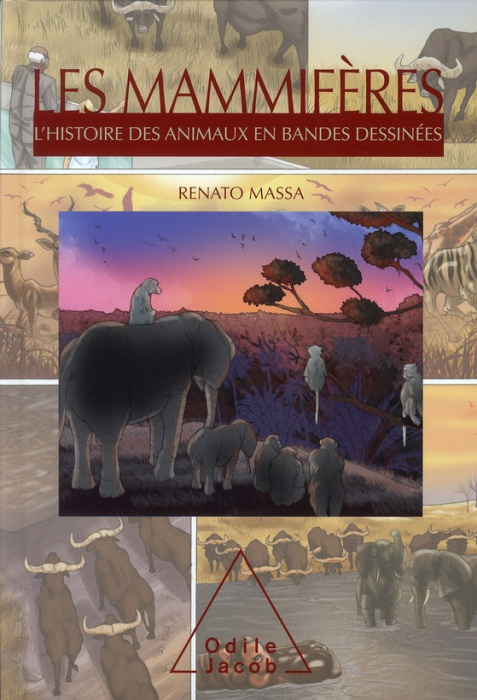 Emprunter Les mammifères. L'histoire des animaux en bandes dessinées livre