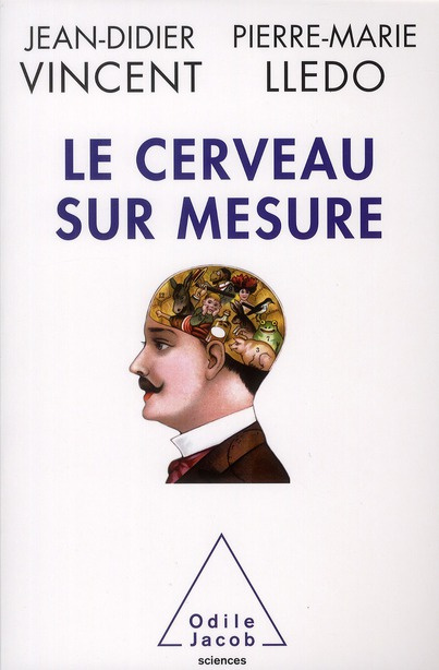 Emprunter Le cerveau sur mesure livre