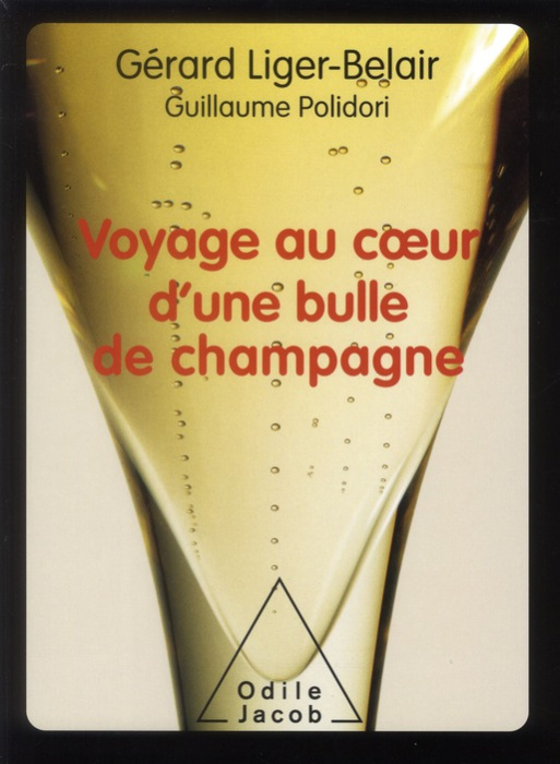 Emprunter VOYAGE AU COEUR D'UNE BULLE DE CHAMPAGNE livre
