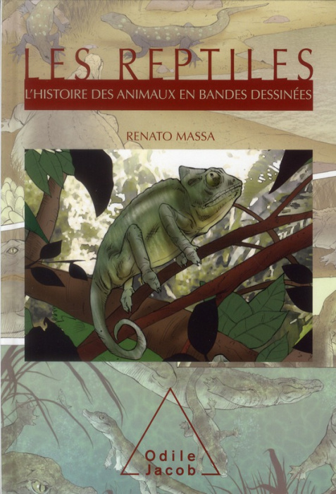 Emprunter LES REPTILES - L'HISTOIRE DES ANIMAUX EN BANDES DESSINEES livre