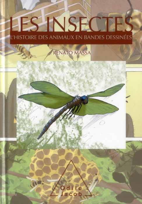 Emprunter Les insectes livre