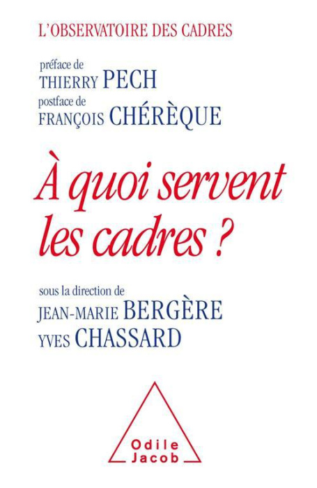 Emprunter A quoi servent les cadres ? livre