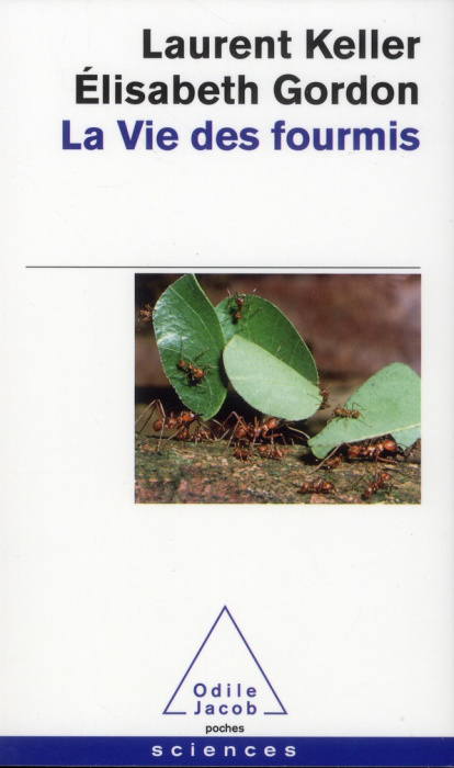 Emprunter La vie des fourmis livre