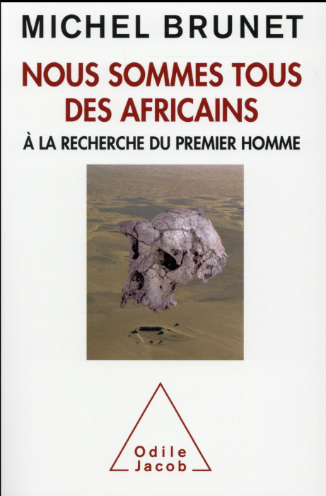 Emprunter Nous sommes tous des Africains. A la recherche du premier homme livre