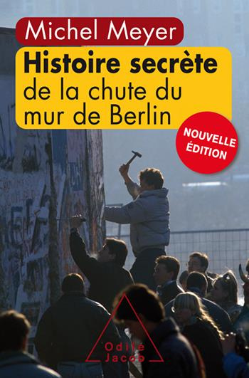 Emprunter Histoire secrète de la chute du mur de Berlin livre