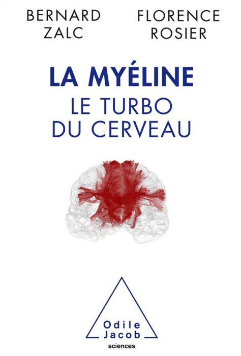 Emprunter La myéline, le turbo du cerveau livre