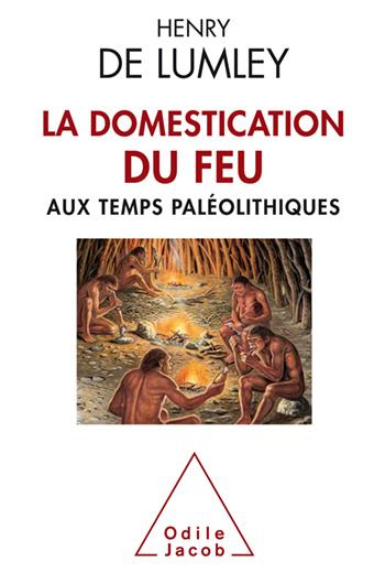 Emprunter La Domestication du feu aux temps paléolithiques livre
