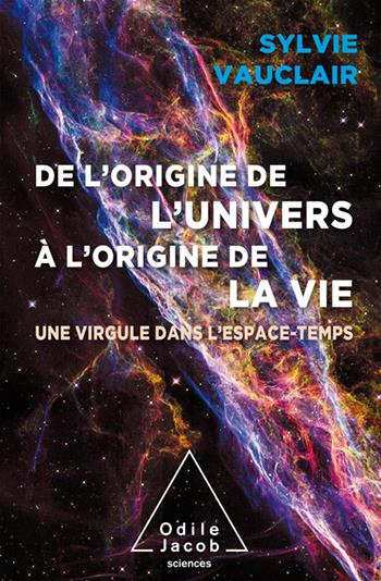 Emprunter De l'origine de l'Univers à l'origine de la vie. une virgule dans l'espace-temps livre