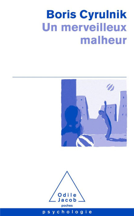 Emprunter Un merveilleux malheur livre