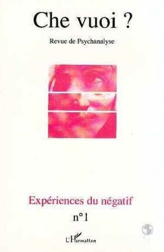 Emprunter EXPERIENCES DU NEGATIF livre