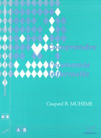 Emprunter COMPRENDRE L'ECONOMIE INFORMELLE livre