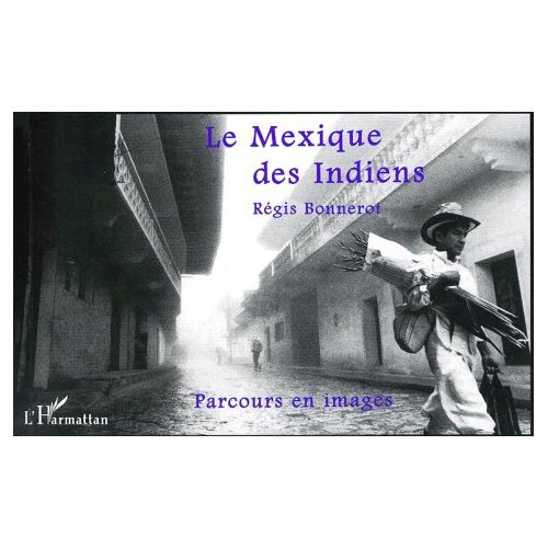 Emprunter LE MEXIQUE DES INDIENS. Parcours en images livre