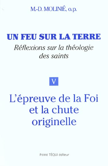 Emprunter Un feu sur la terre. Tome 5, L'épreuve de la Foi et la chute originelle livre