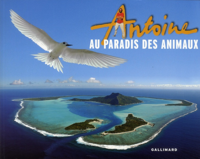 Emprunter Au paradis des animaux. Avec 1 DVD livre
