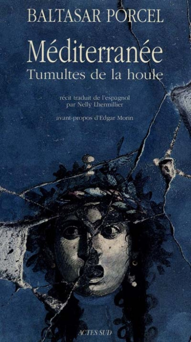 Emprunter Méditerranée. Tumultes de la houle livre