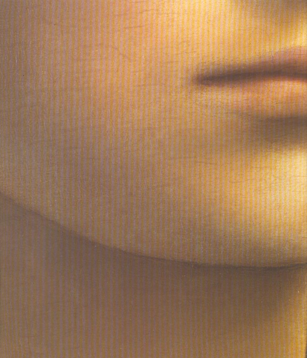 Emprunter LEONARD DE VINCI. Une carrière de peintre livre