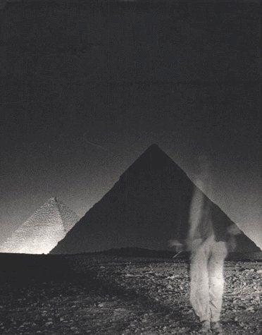 Emprunter Suite égyptienne. Sur les traces de Gustave Flaubert et Maxime Du Camp livre