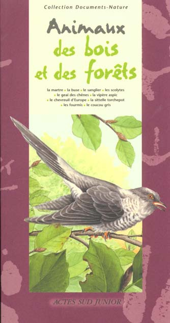 Emprunter Animaux des bois et des forêts livre