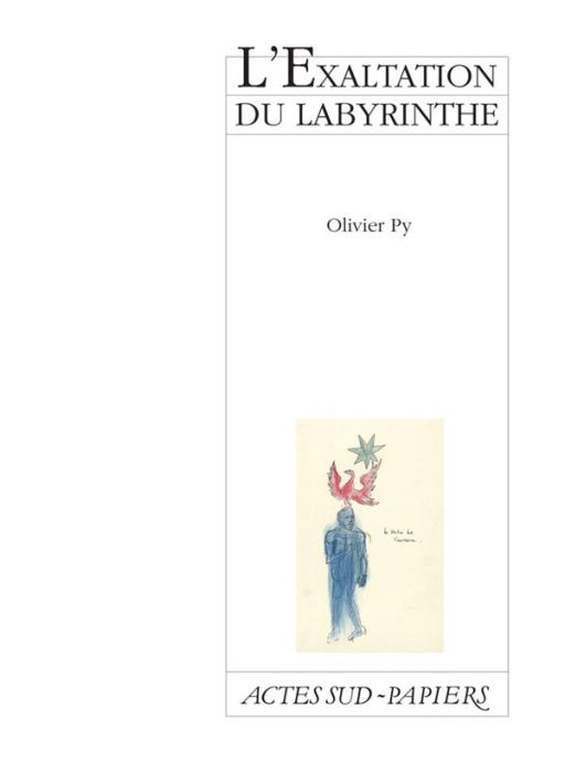 Emprunter L'exaltation du labyrinthe livre
