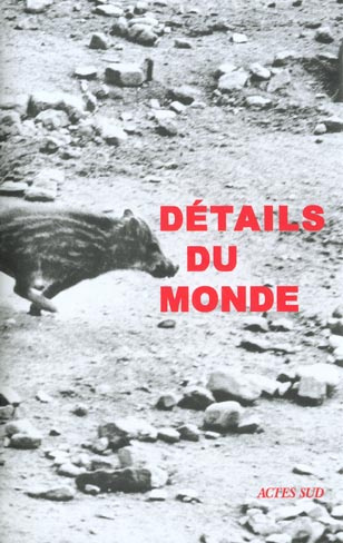 Emprunter Détails du monde livre