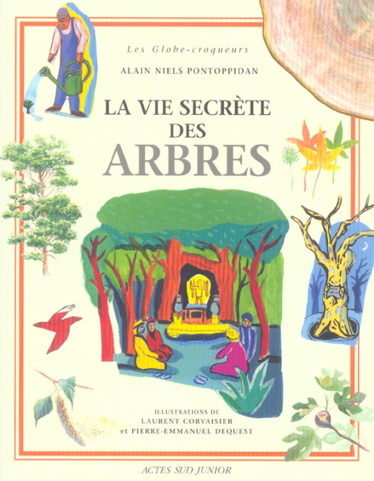 Emprunter La vie secrète des arbres livre