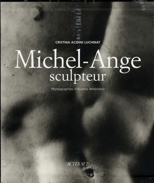Emprunter Michel-Ange sculpteur livre