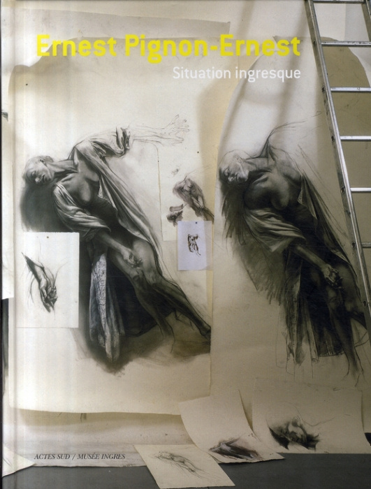 Emprunter Situation ingresque livre