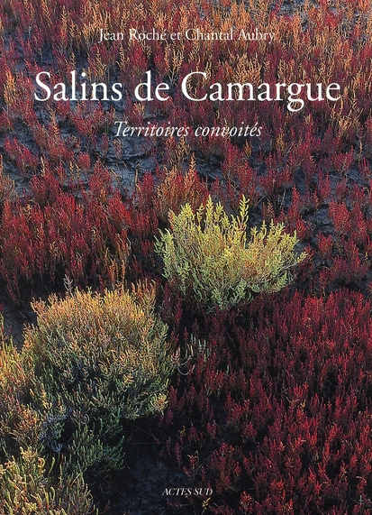 Emprunter Salins de Camargue. Territoires convoités livre
