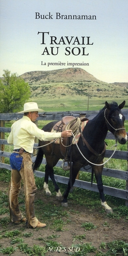 Emprunter Travail au sol. La première impression livre