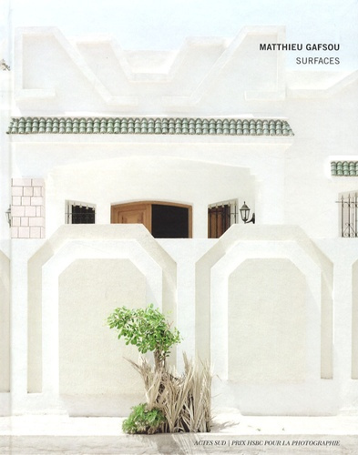 Emprunter Surfaces livre