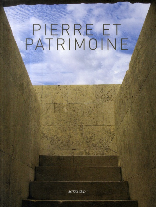 Emprunter Pierre et patrimoine. Connaissance et conservation livre