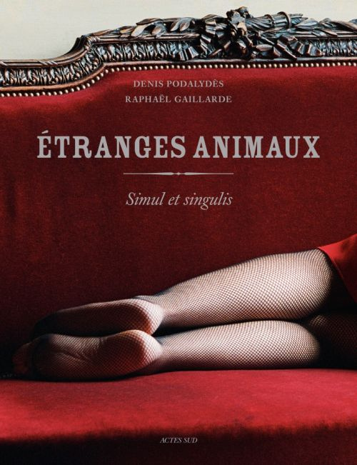 Emprunter Etranges animaux. Simul et singulis livre