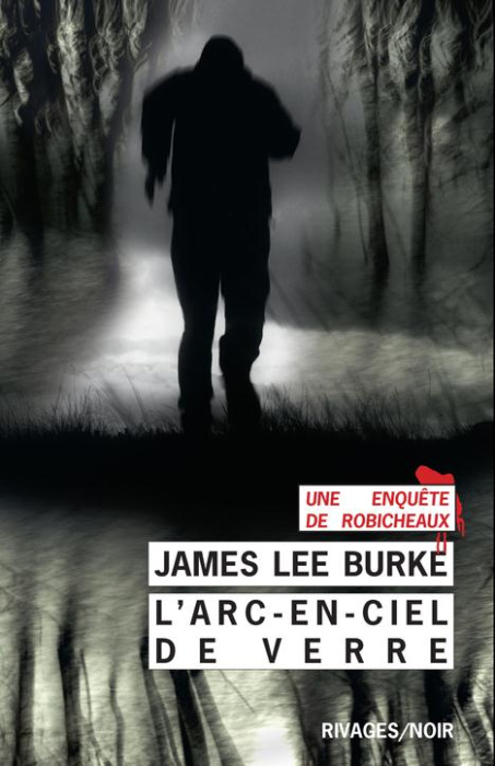 Emprunter L'Arc-en-ciel de verre livre