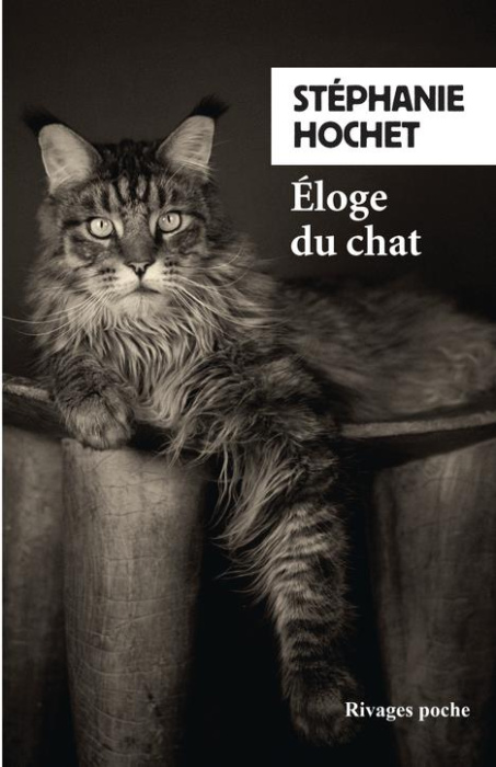 Emprunter Eloge du chat livre