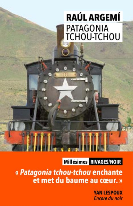 Emprunter Patagonia Tchou-Tchou livre