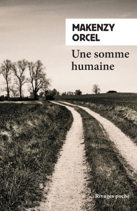 Emprunter Une somme humaine livre