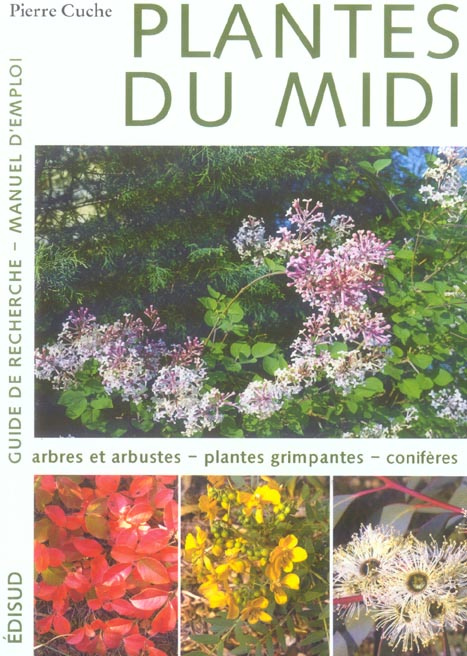 Emprunter T1 PLANTES DU MIDI ARBRES ARBUSTES PLANTES GRIMPANTES NLLE EDT livre