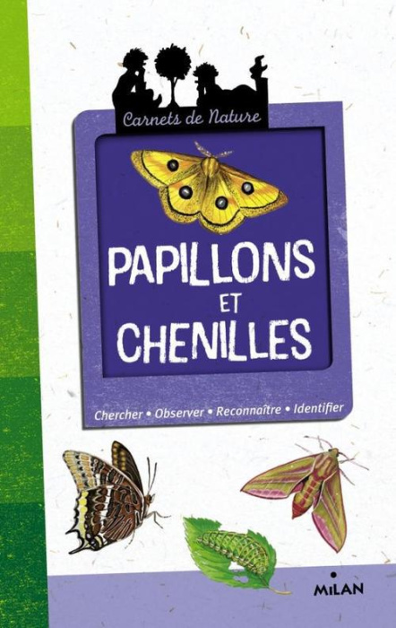 Emprunter Papillons et chenilles livre