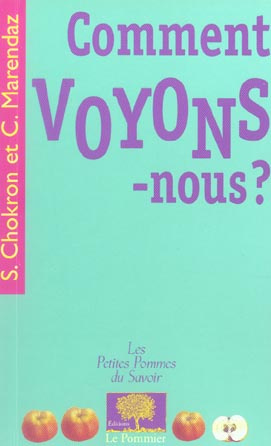 Emprunter Comment voyons-nous ? livre