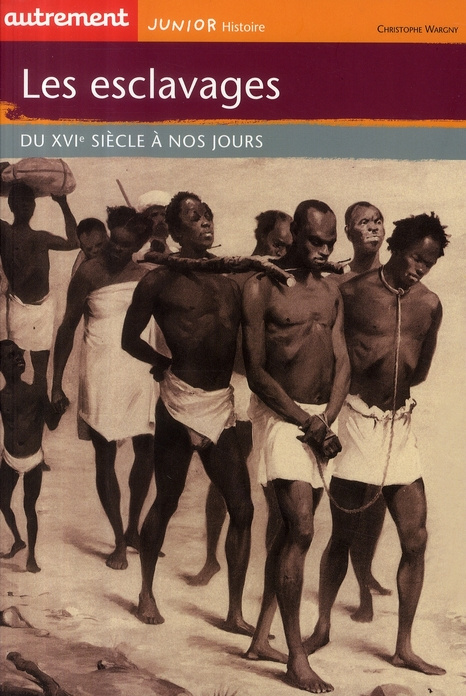 Emprunter Les esclaves. Du XVIe siècle à nos jours livre
