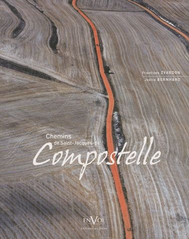 Emprunter Chemins de Saint-Jacques-de-Compostelle livre