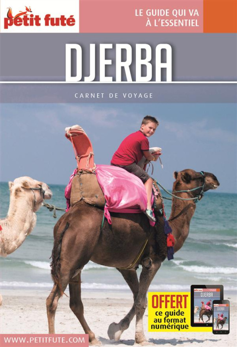 Emprunter DJERBA 2016 CARNET PETIT FUTE livre