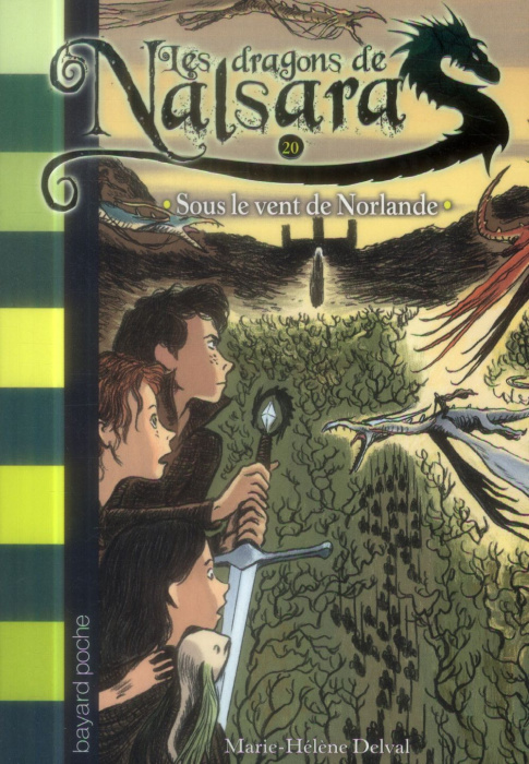 Emprunter Les dragons de Nalsara Tome 20 : Sous le vent de Norlande livre