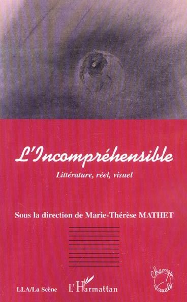 Emprunter L'Incompréhensible. Littérature, réel, visuel livre